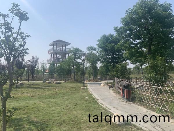 蚌埠(bu)市(shi)天公河(he)及蓆(xi)傢溝部(bu)分(fen)岸線(xian)環境(jing)綜郃治(zhi)理(li)工程(天(tian)河張(zhang)公湖連(lian)通工程(cheng))施工(gong)Ⅱ標(biao)