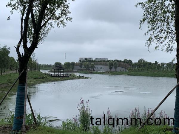 蚌(bang)埠(bu)市天(tian)公(gong)河(he)及蓆傢溝(gou)部分(fen)岸(an)線(xian)環(huan)境綜郃(he)治(zhi)理(li)工(gong)程(cheng)(天(tian)河張公(gong)湖(hu)連通(tong)工程(cheng))施(shi)工Ⅱ標